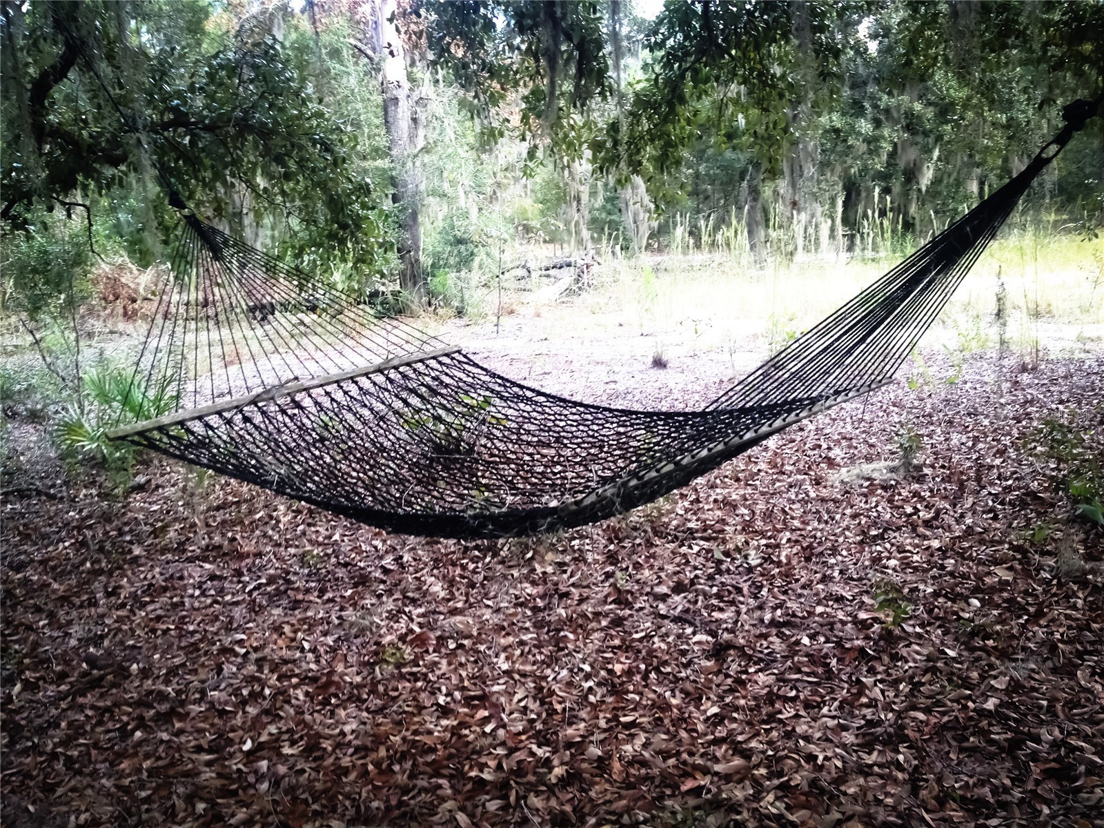 118 Millcreek Drive Melrose FL 32666 O6394527 image43
