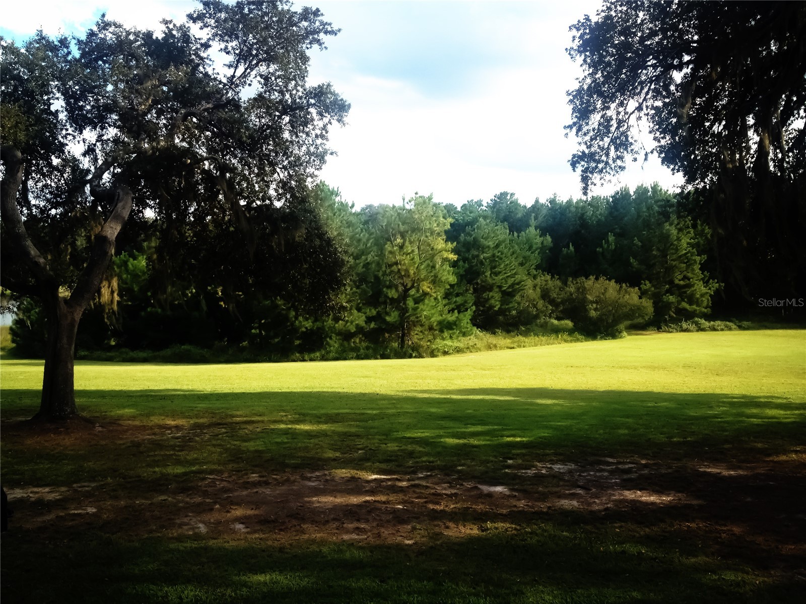 118 Millcreek Drive Melrose FL 32666 O6394527 image44