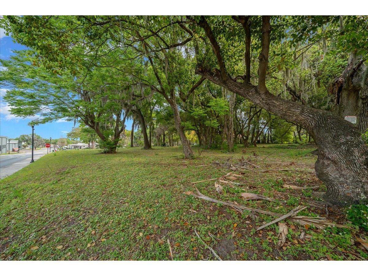 118 NE Tuscawilla Avenue Ocala FL 34470 OM722407 image44