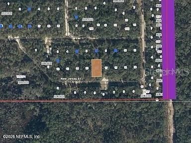 118 New Jersey Street Satsuma FL 32189 FC317534 image4