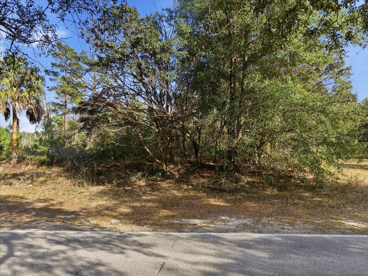 118 Oak Village Boulevard Homosassa FL 34446 TB8463167 image2