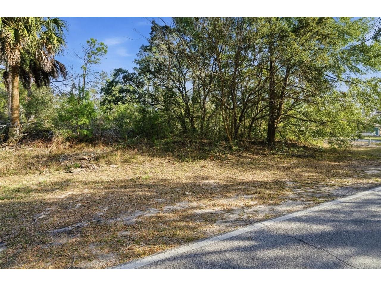 118 Oak Village Boulevard Homosassa FL 34446 TB8463167 image21