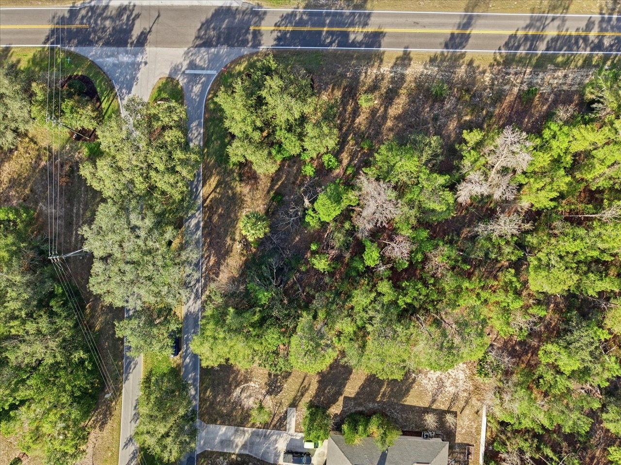 118 Oak Village Boulevard Homosassa FL 34446 TB8463167 image23