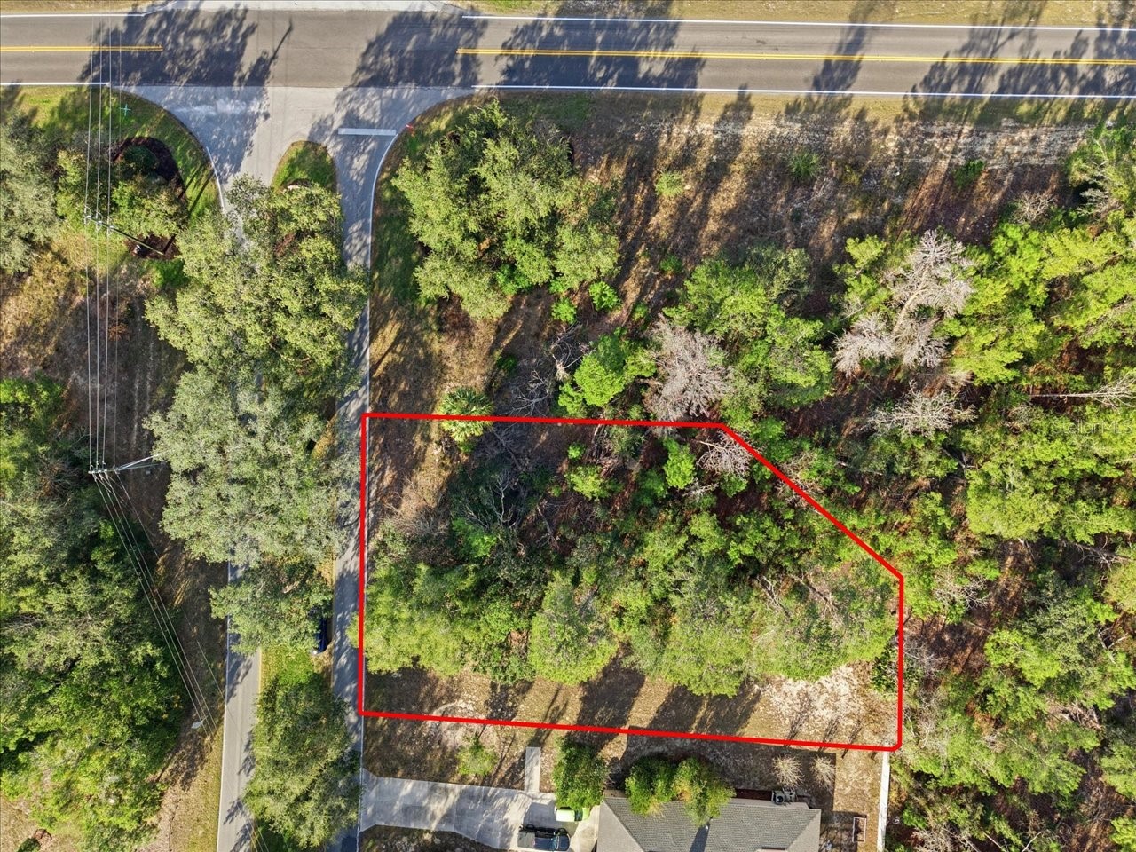 118 Oak Village Boulevard Homosassa FL 34446 TB8463167 image3