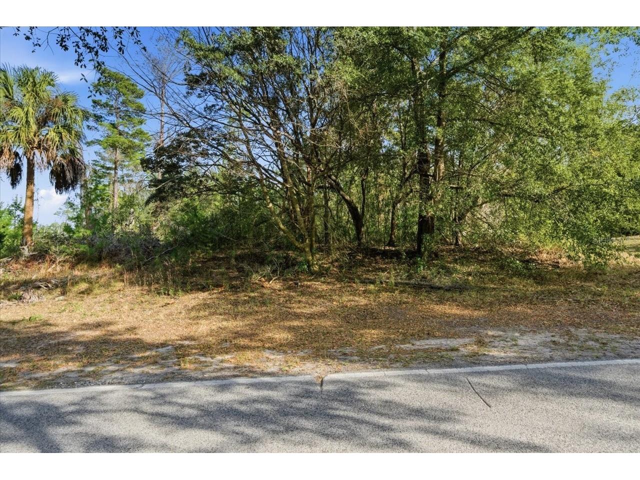 118 Oak Village Boulevard Homosassa FL 34446 TB8463167 image4