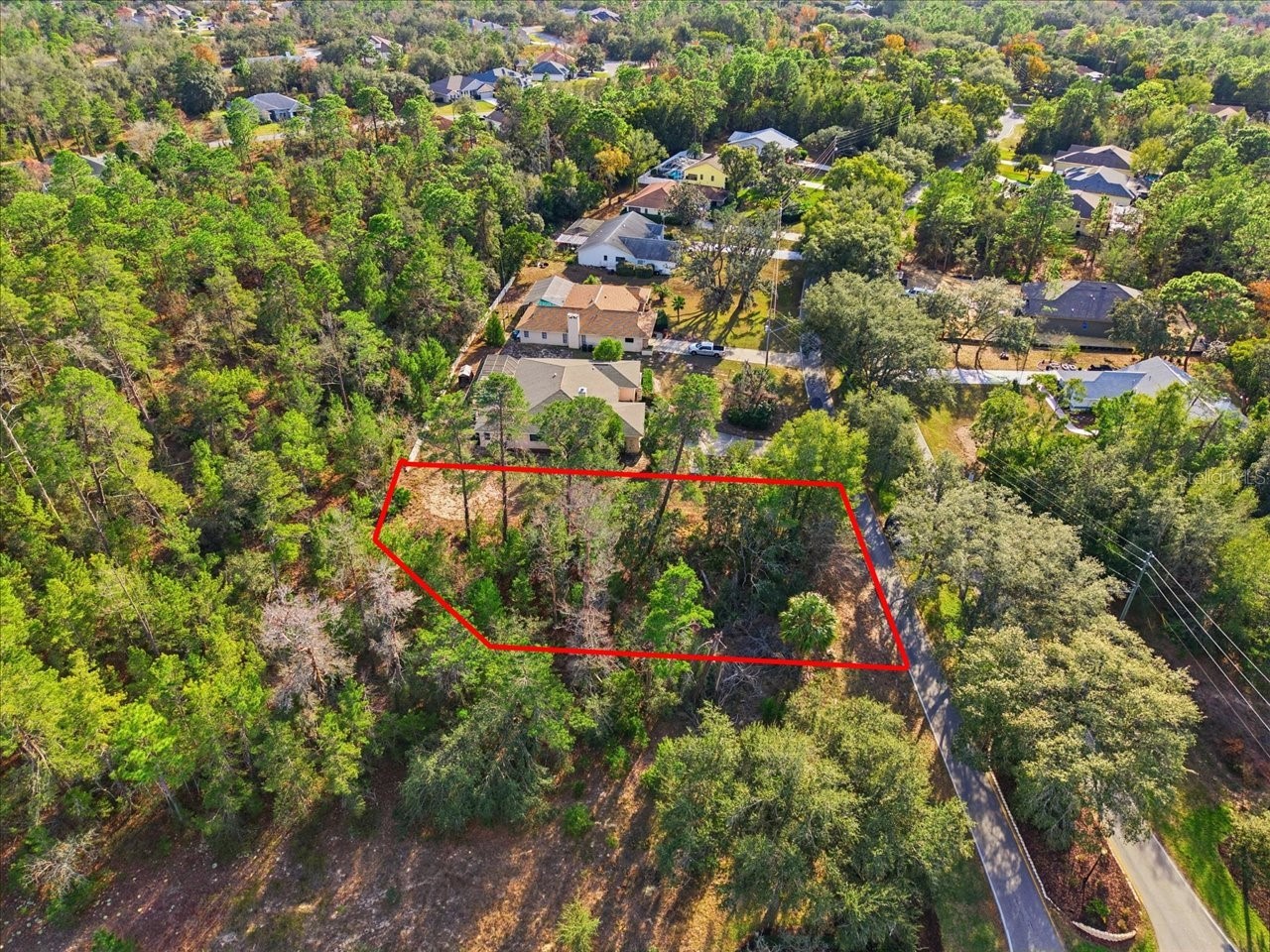 118 Oak Village Boulevard Homosassa FL 34446 TB8463167 image8