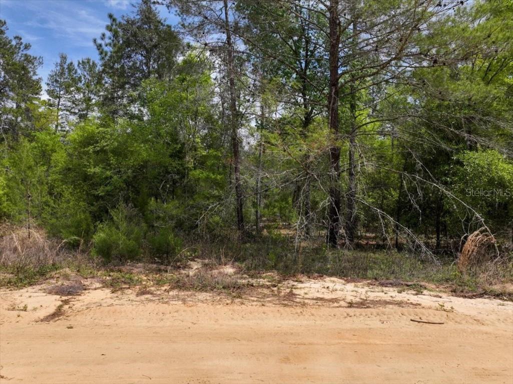 118 Patch Street Interlachen FL 32148 O6362745 image10