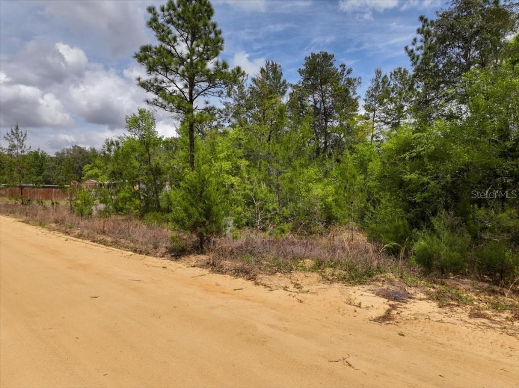 118 Patch Street Interlachen FL 32148 O6362745 image11