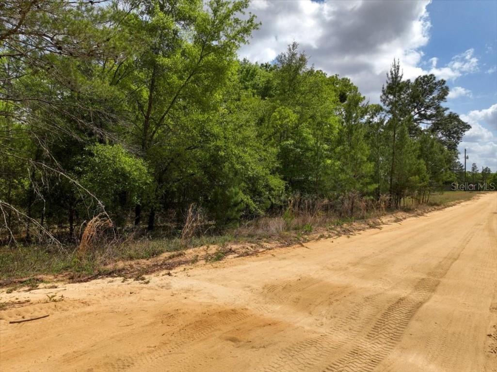 118 Patch Street Interlachen FL 32148 O6362745 image12