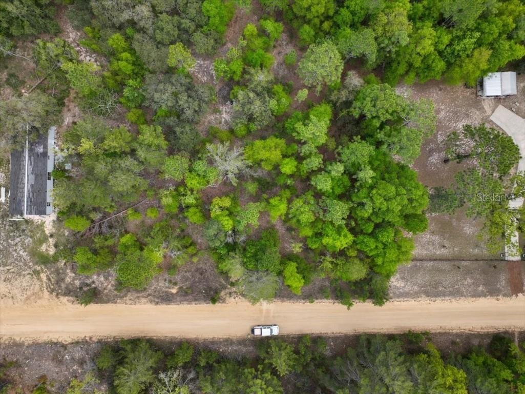 118 Patch Street Interlachen FL 32148 O6362745 image14