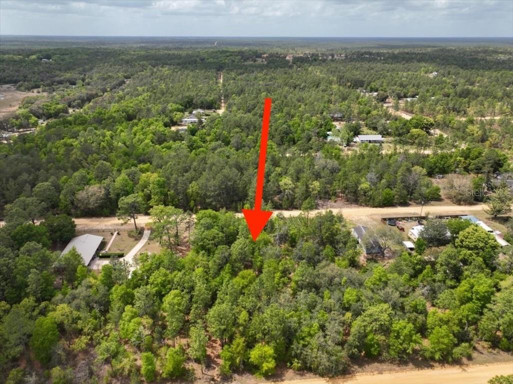 118 Patch Street Interlachen FL 32148 O6362745 image15