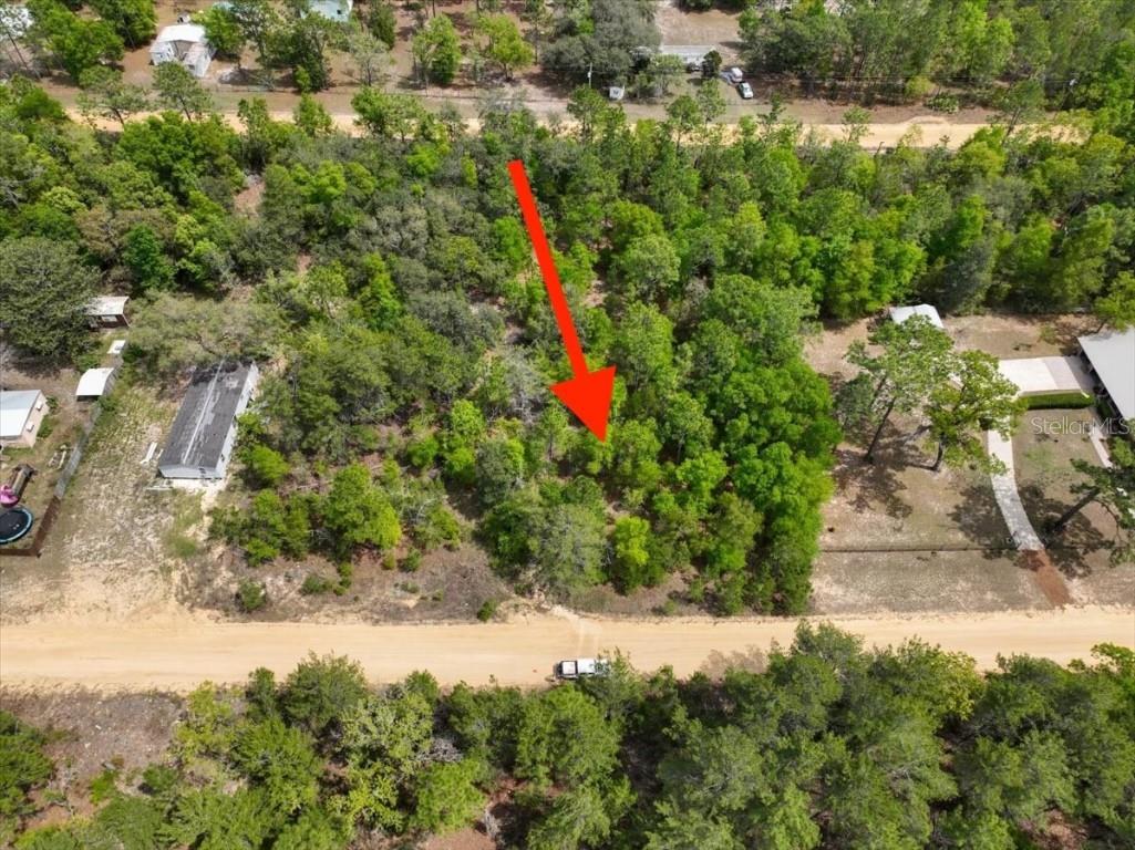 118 Patch Street Interlachen FL 32148 O6362745 image3