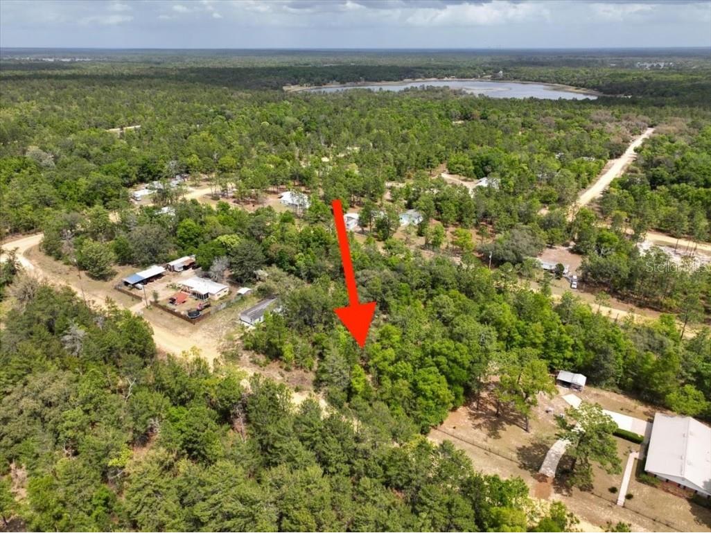 118 Patch Street Interlachen FL 32148 O6362745 image4