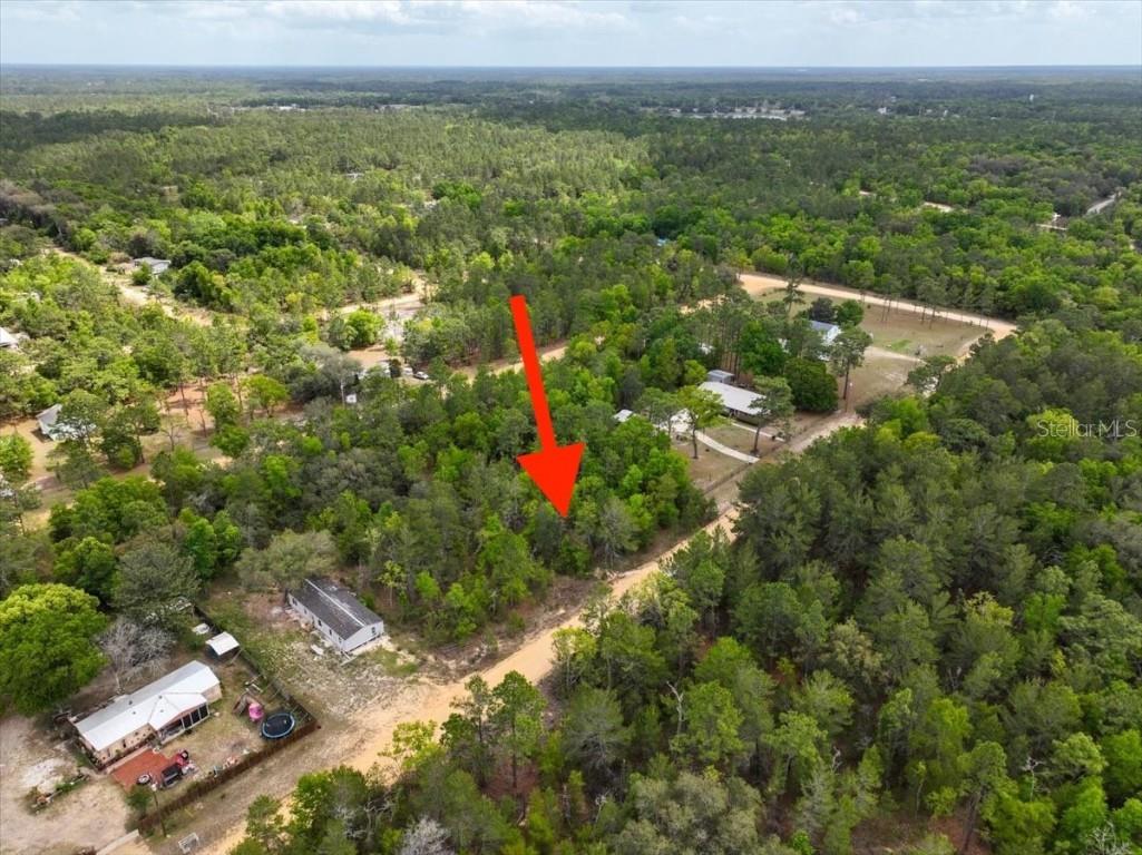 118 Patch Street Interlachen FL 32148 O6362745 image6