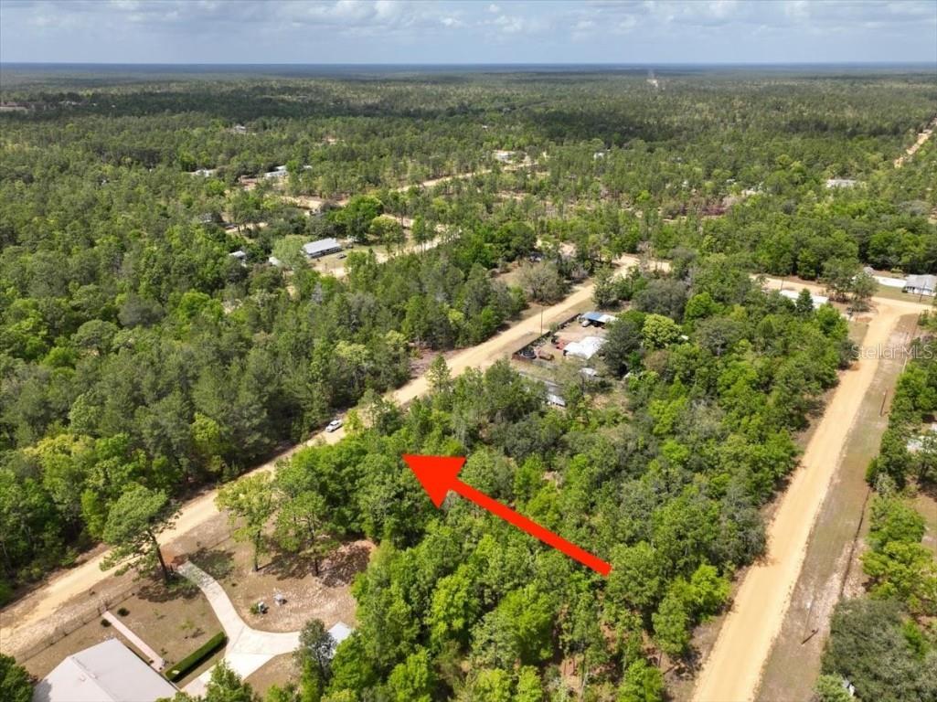 118 Patch Street Interlachen FL 32148 O6362745 image8