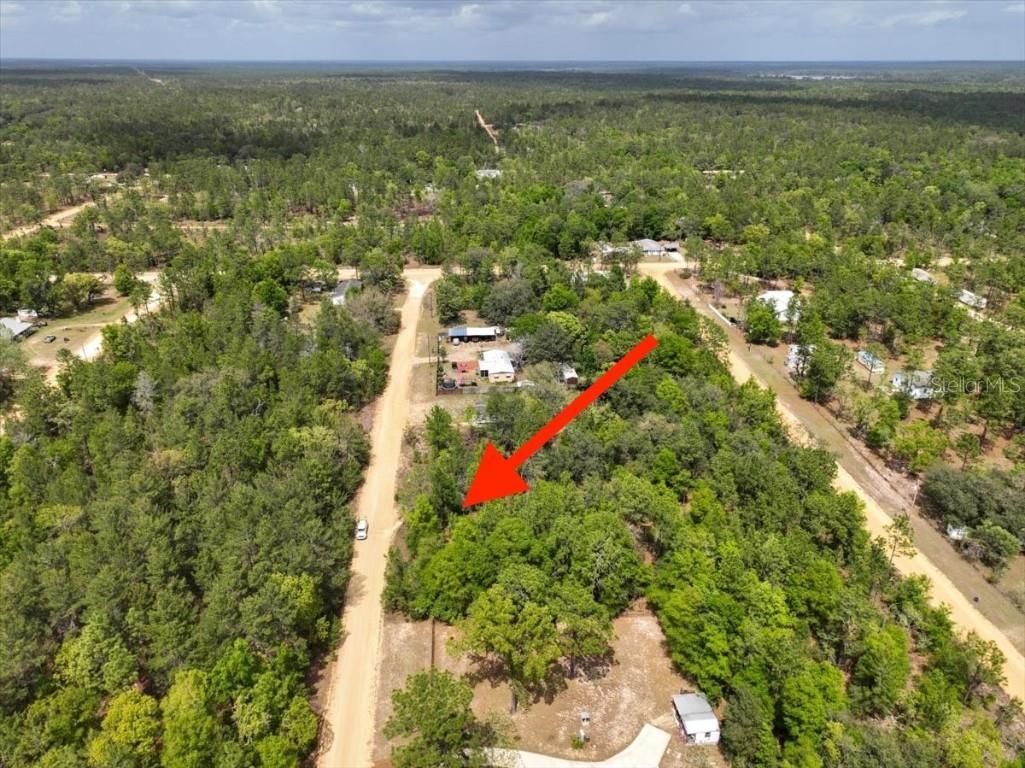 118 Patch Street Interlachen FL 32148 O6362745 image9