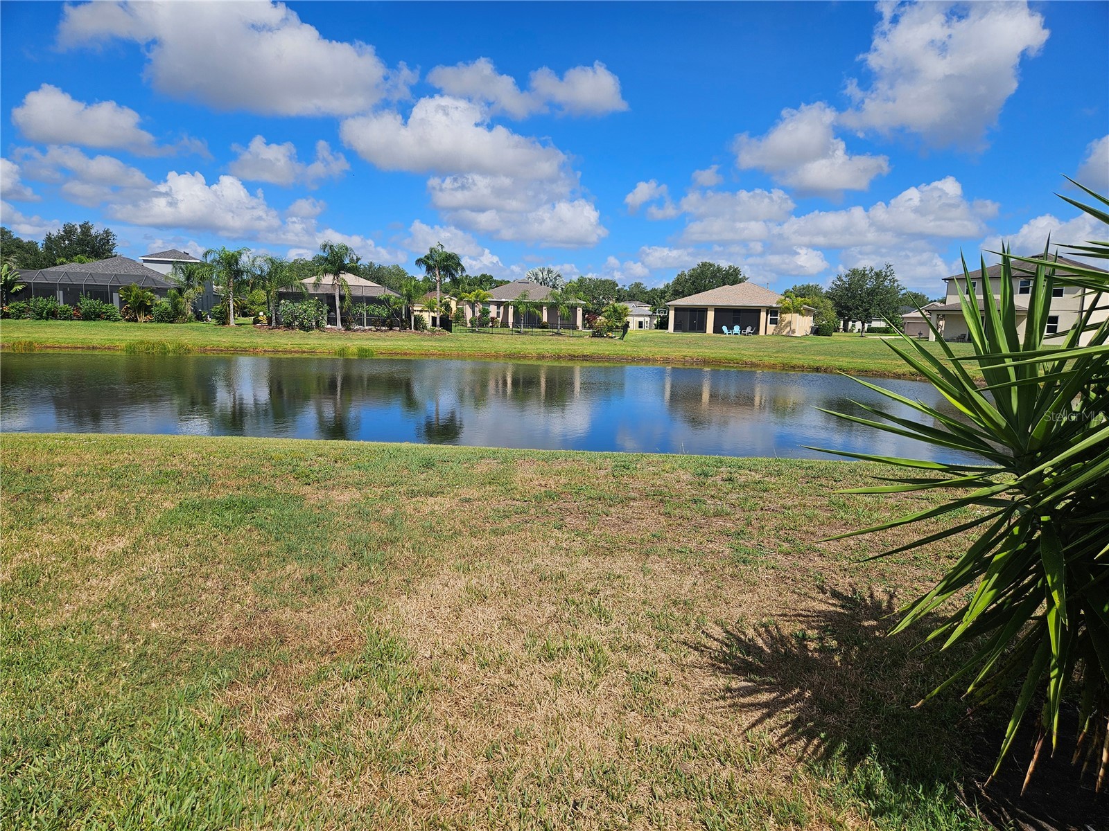 118 Peony Court Bradenton FL 34212 A4694374 image22