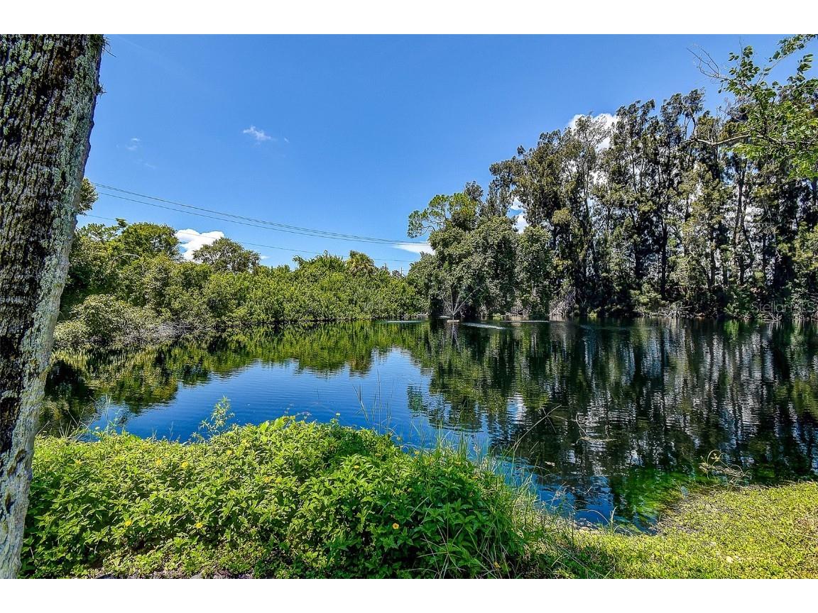 118 Pinehurst Drive #118D Bradenton FL 34210 TB8418480 image33