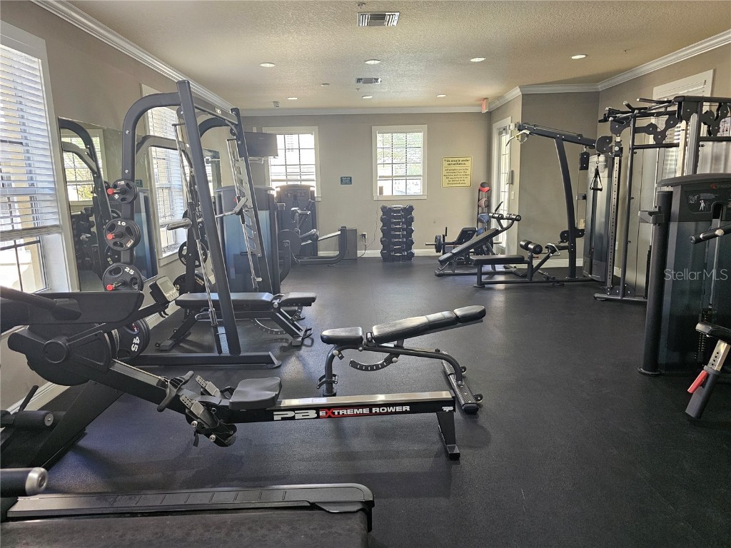 118 S Obrien Street #118 Tampa FL 33609 TB8443887 image15