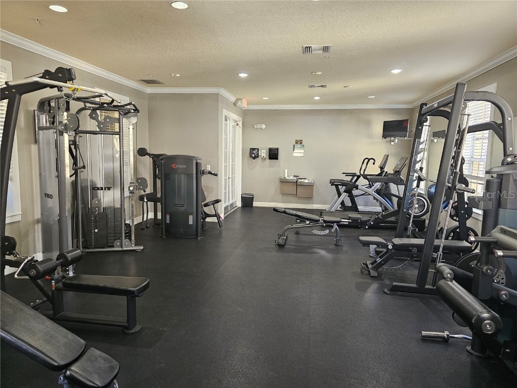 118 S Obrien Street #118 Tampa FL 33609 TB8443887 image16