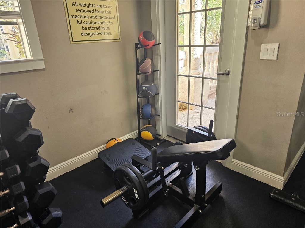 118 S Obrien Street #118 Tampa FL 33609 TB8443887 image17