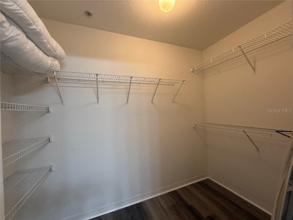 118 S Obrien Street #118 Tampa FL 33609 TB8443887 image38