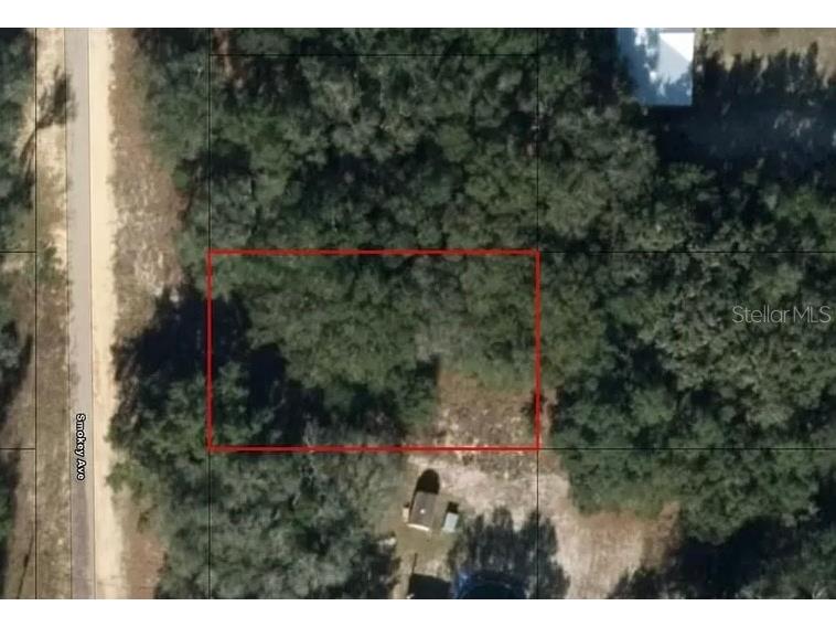 118 Smokey Avenue Interlachen FL 32148 J971234 image1