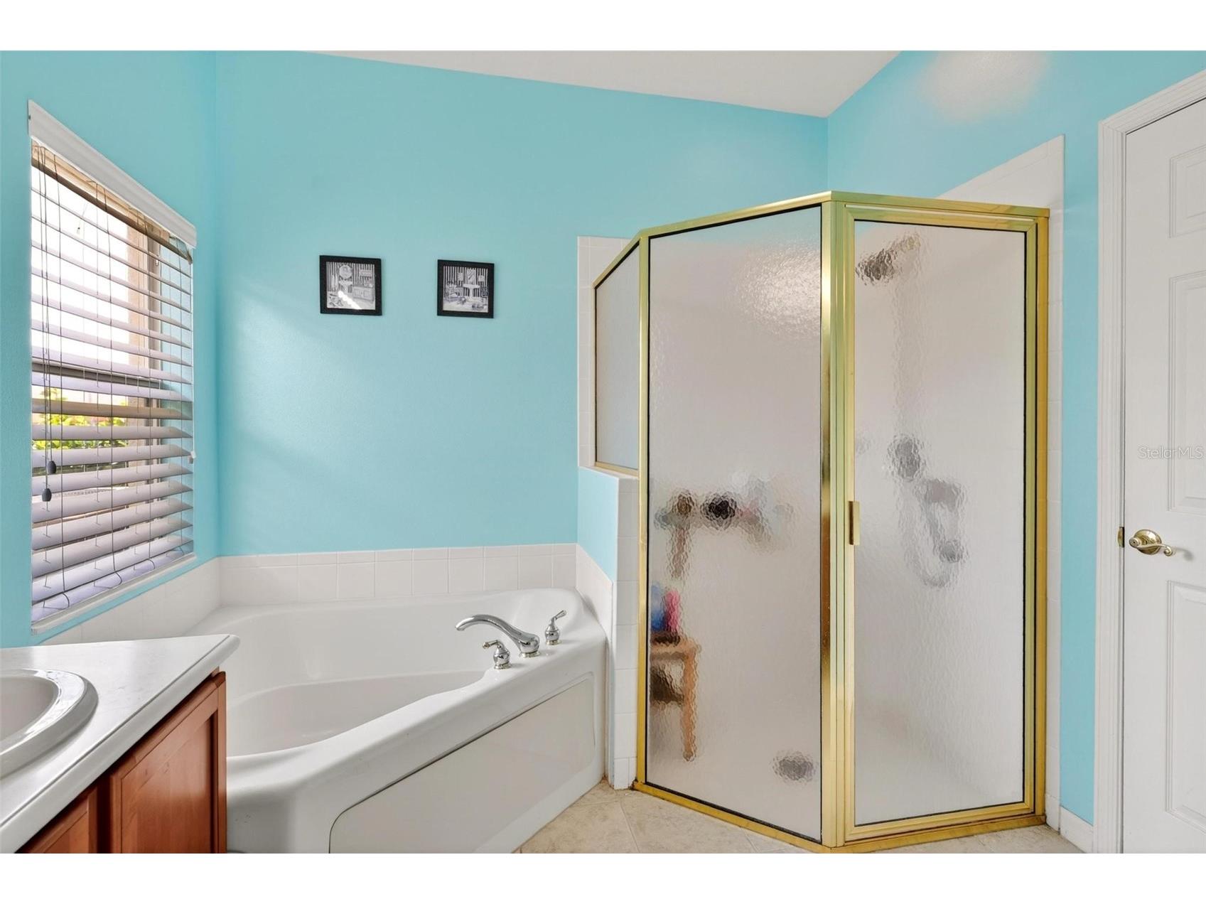 118 Vista Drive Poinciana FL 34759 O6409797 image47
