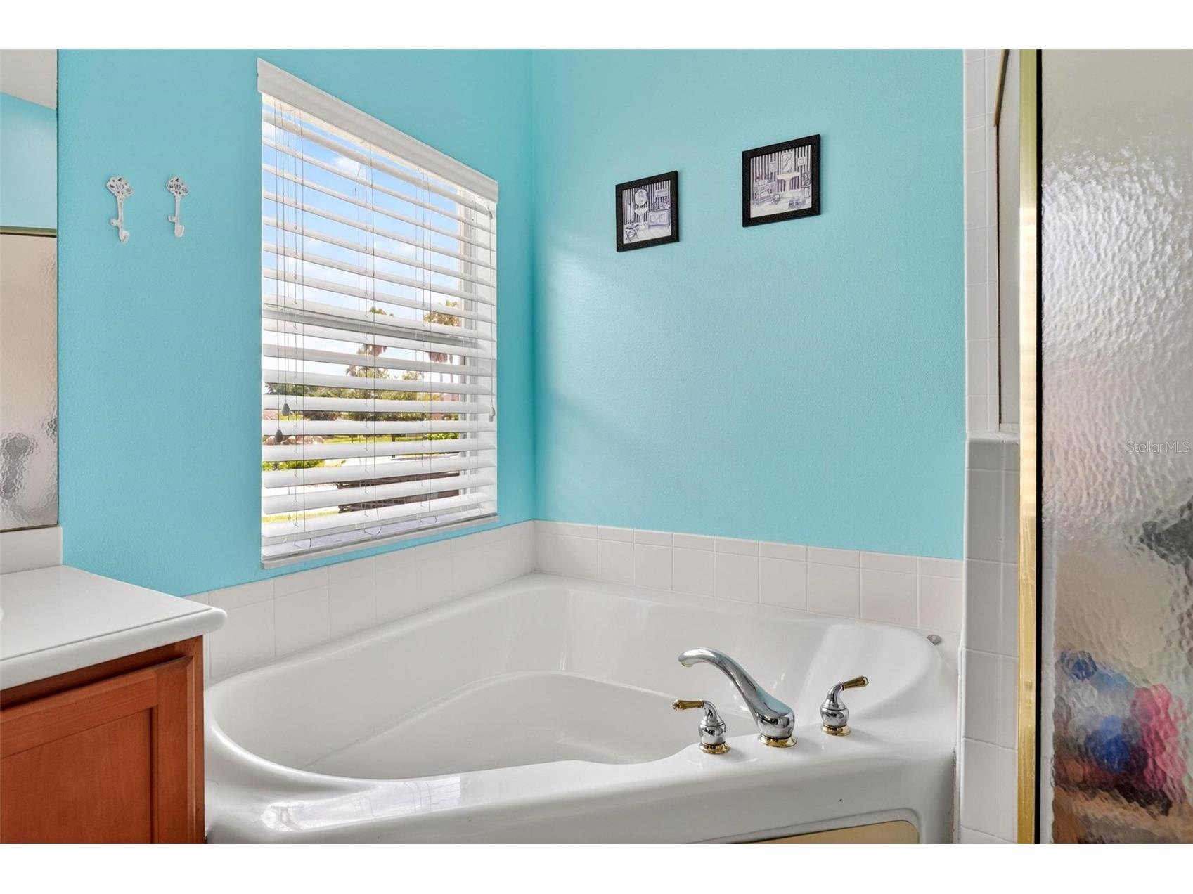 118 Vista Drive Poinciana FL 34759 O6409797 image48