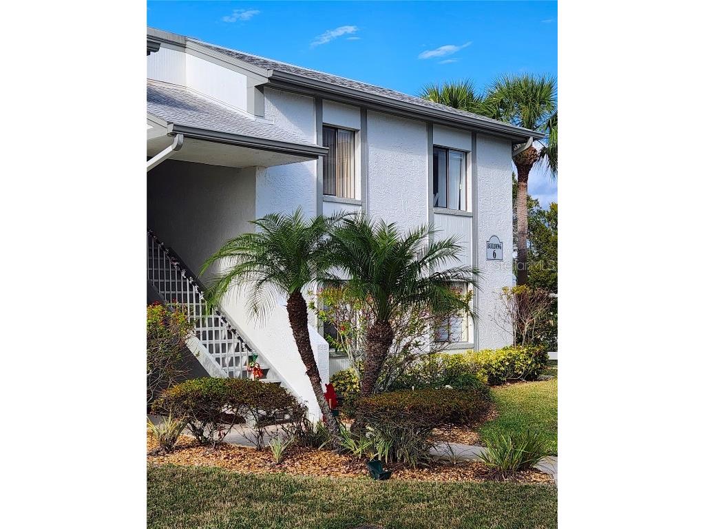 118 W Cypress Court #118 Oldsmar FL 34677 TB8333233 image1