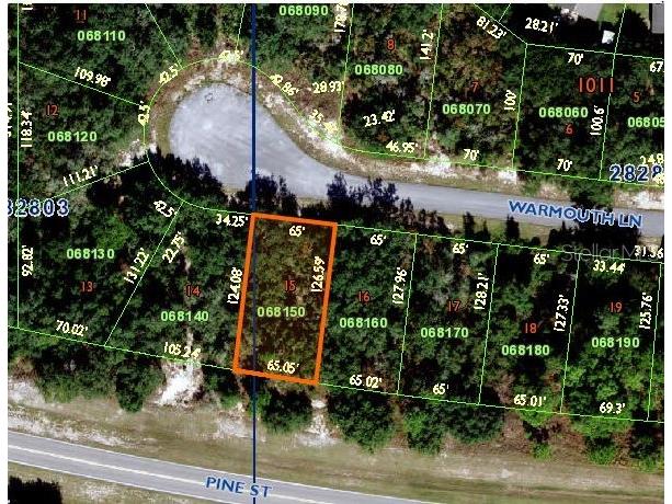 118 Warmouth Lane Poinciana FL 34759 B4901267 image1