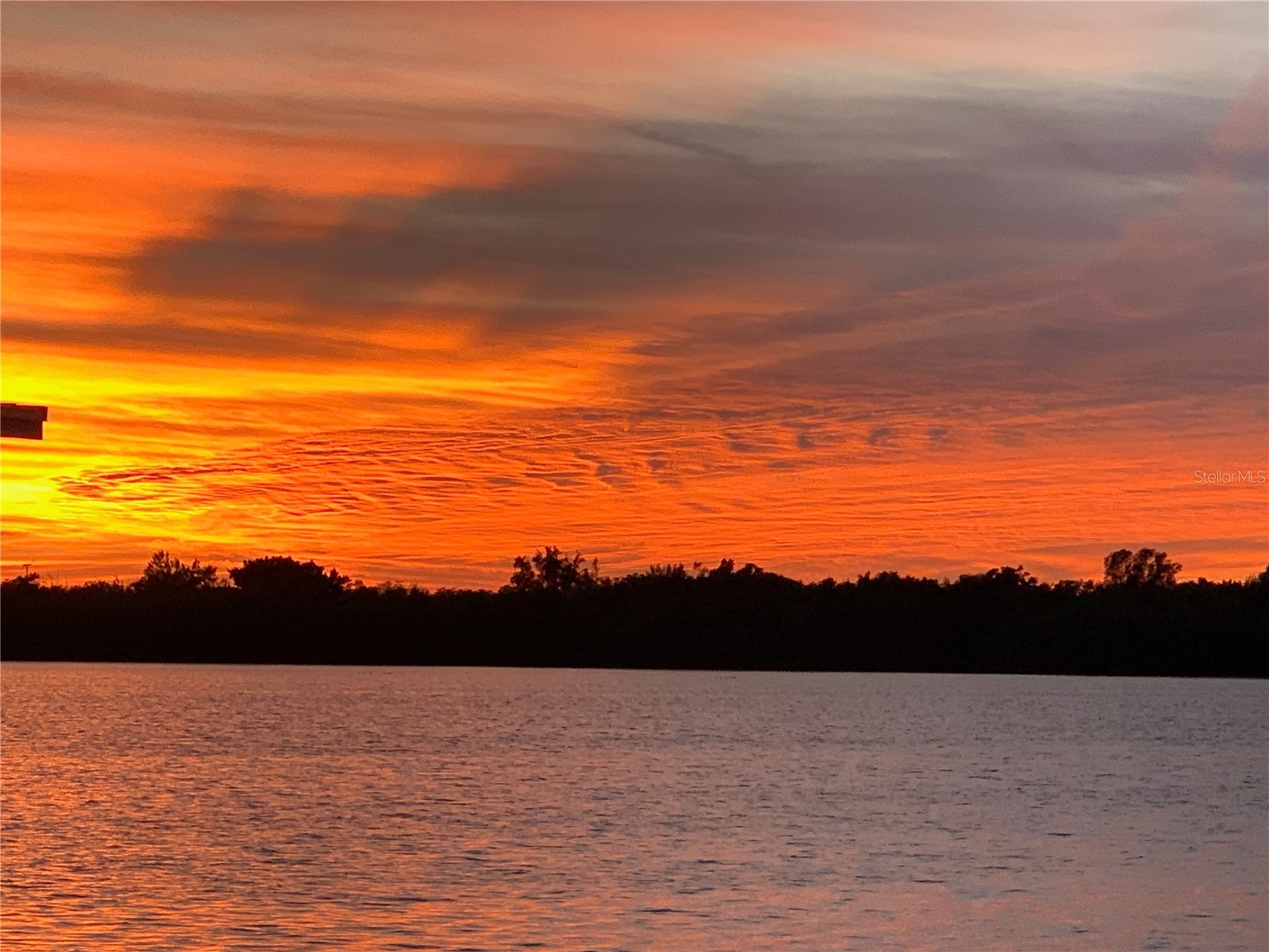 1180 Cordova Boulevard NE Saint Petersburg FL 33704 TB8463331 image41