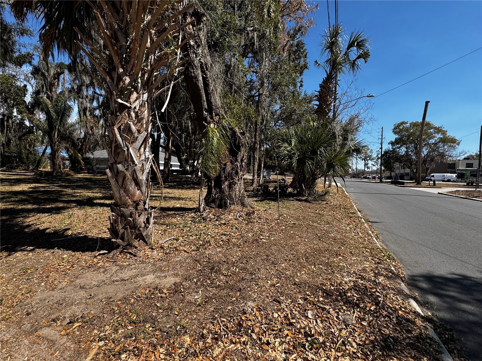 1180 E Church Street Bartow FL 33830 P4938071 image4