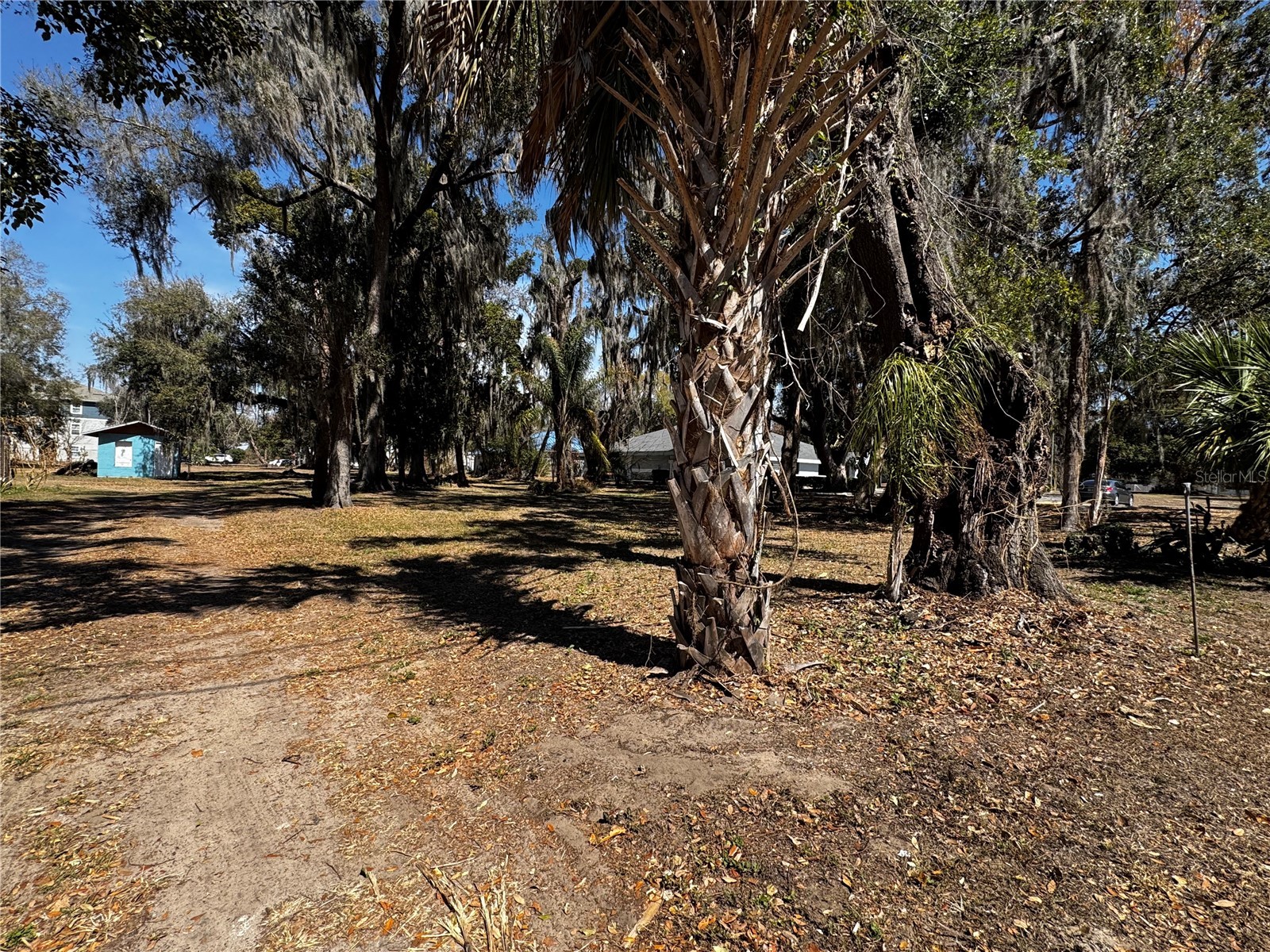 1180 E Church Street Bartow FL 33830 P4938071 image9