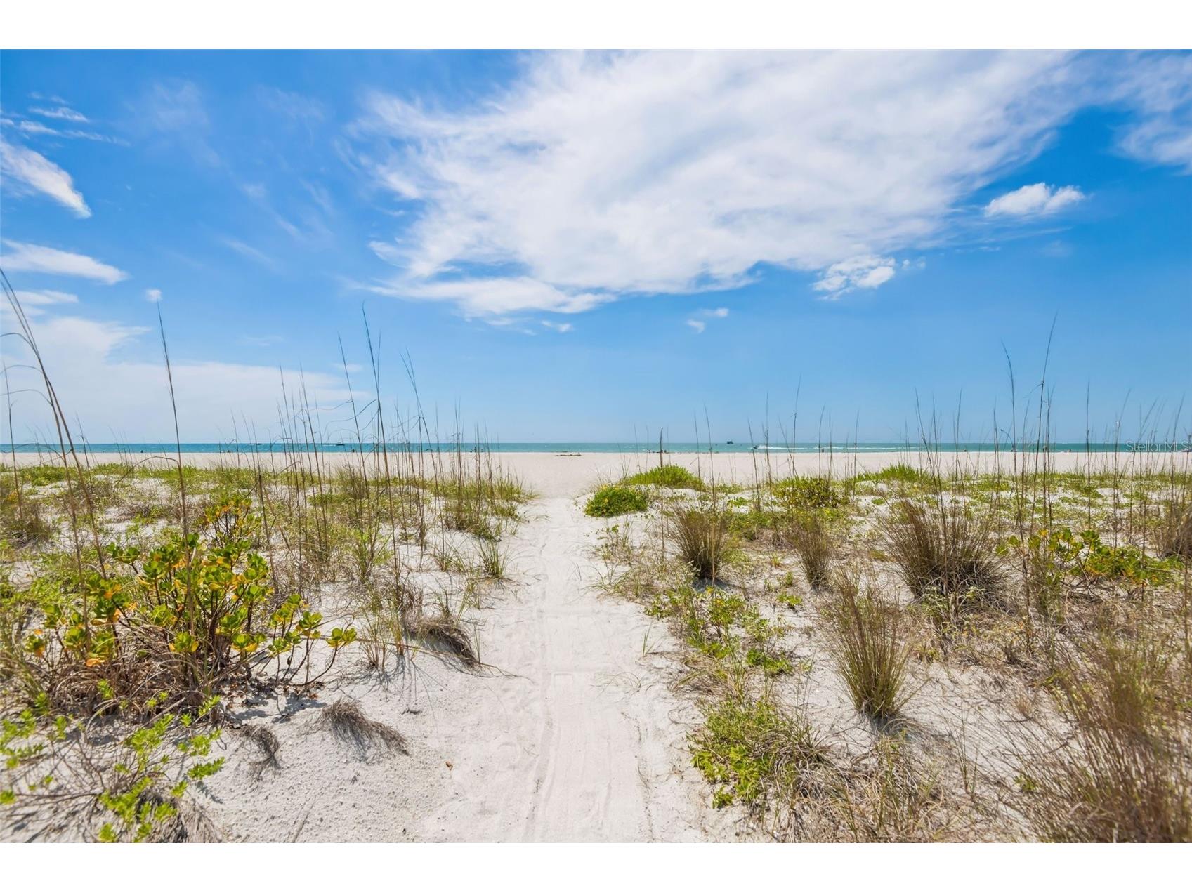 1180 Gulf Boulevard #101 Clearwater Beach FL 33767 - GULF OF MEXICO TB8503282 image38