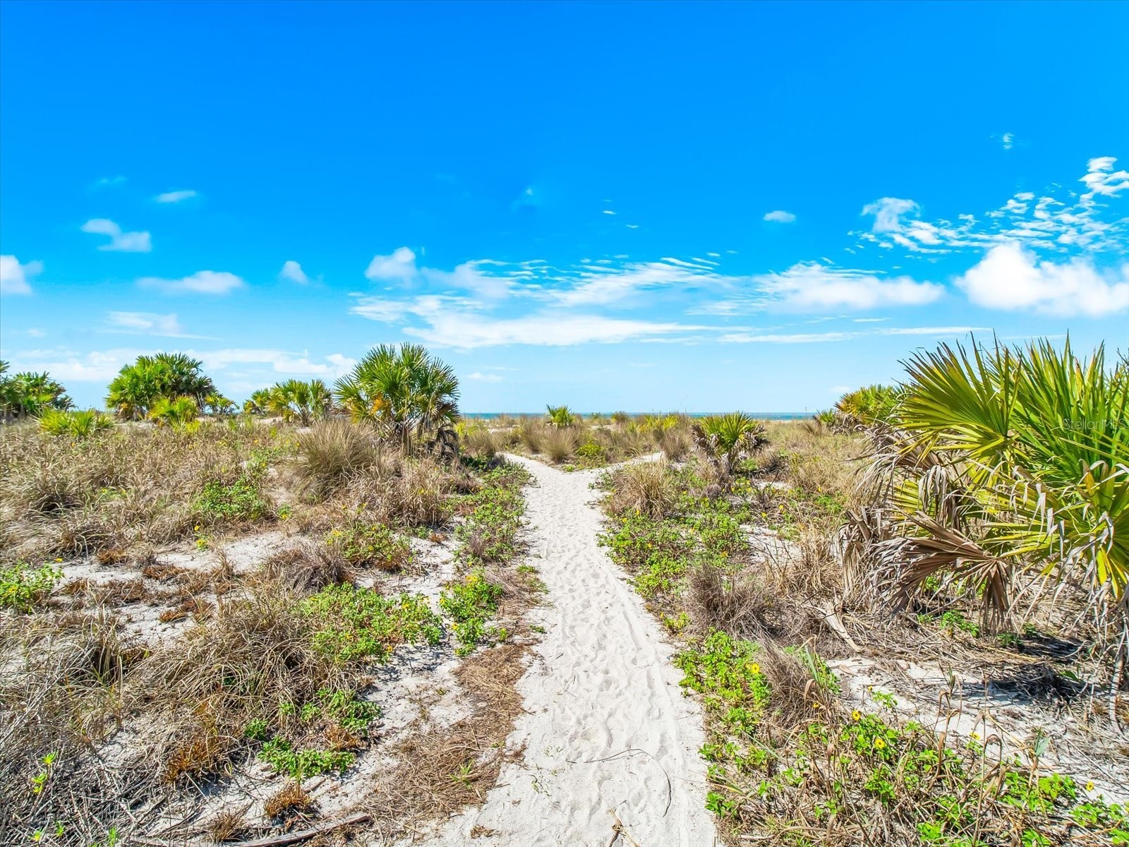 1180 Gulf Boulevard #1504 Clearwater FL 33767 - GULF OF MEXICO TB8480776 image49