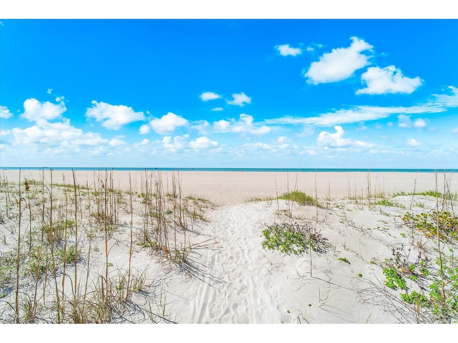 1180 Gulf Boulevard #1504 Clearwater FL 33767 - GULF OF MEXICO TB8480776 image50