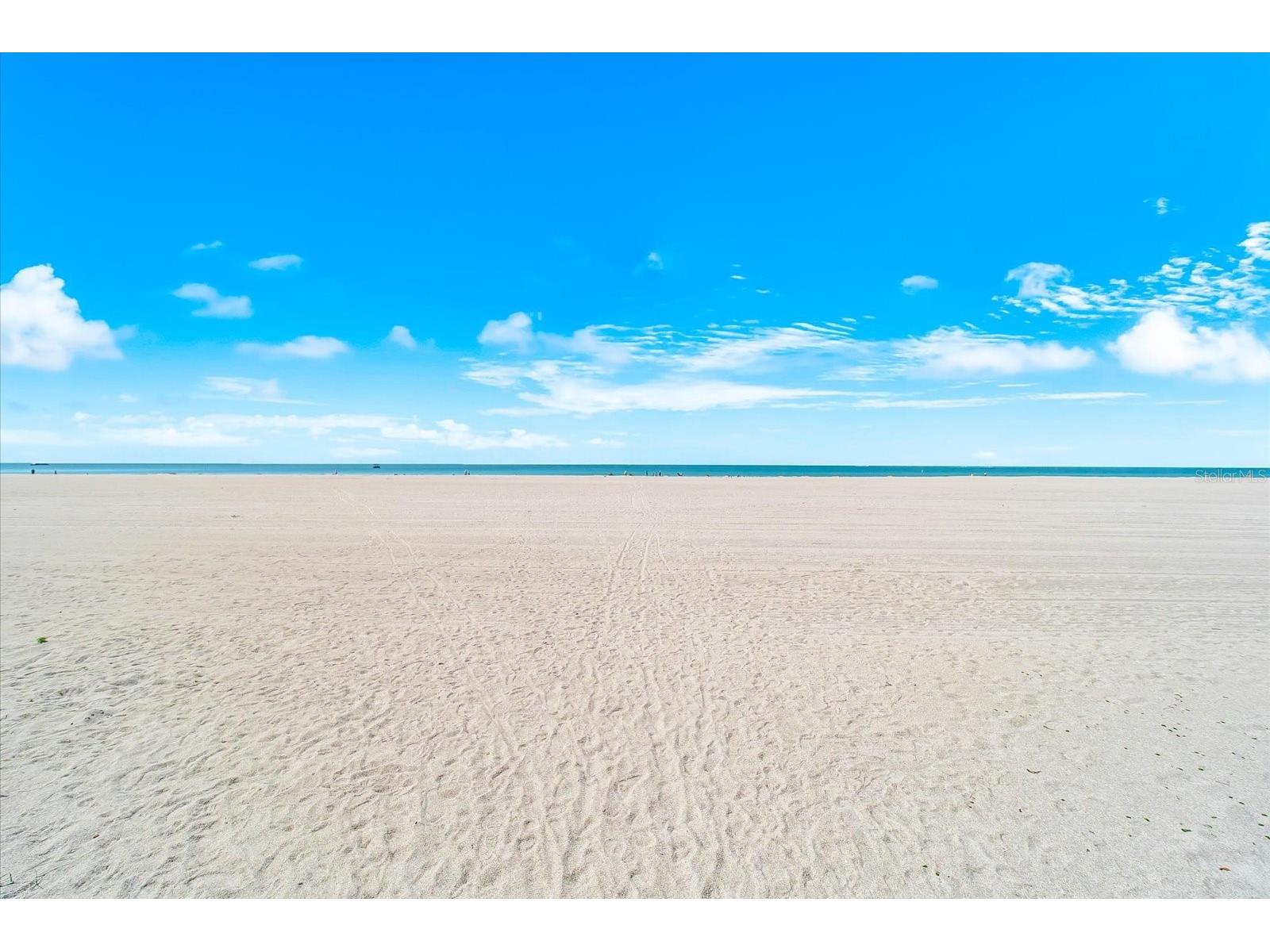1180 Gulf Boulevard #1504 Clearwater FL 33767 - GULF OF MEXICO TB8480776 image51