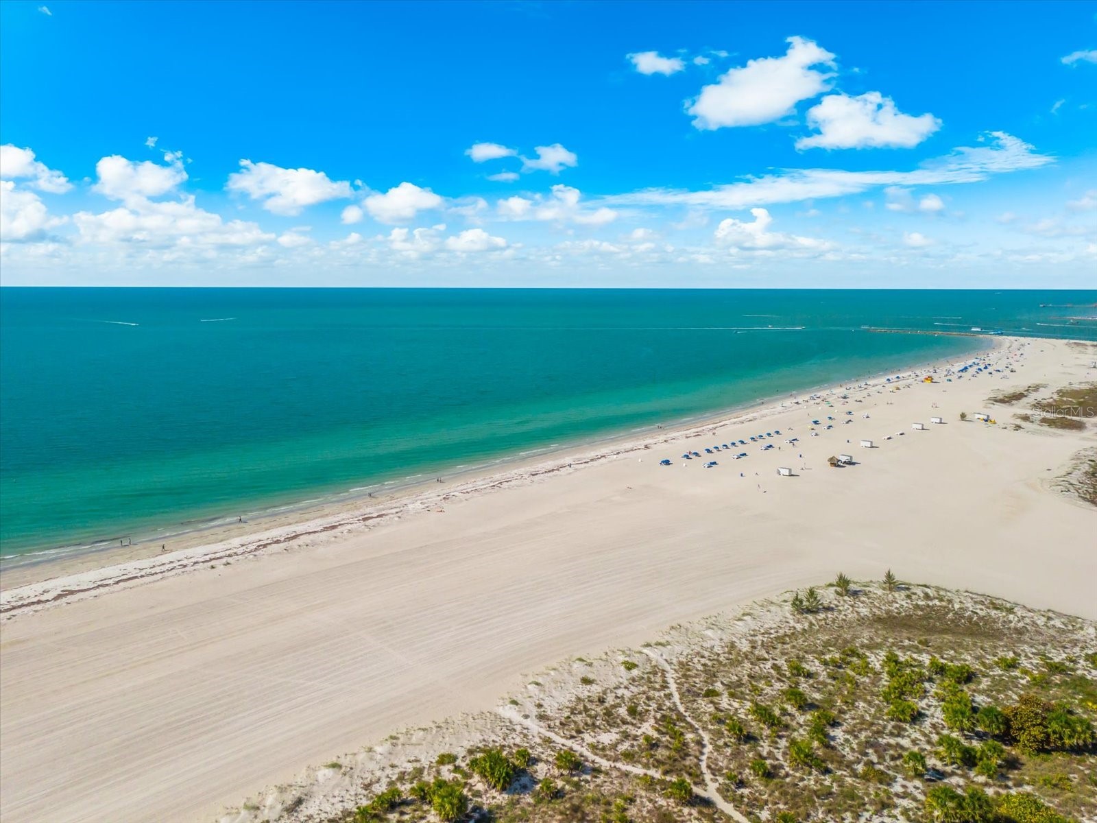 1180 Gulf Boulevard #1504 Clearwater FL 33767 - GULF OF MEXICO TB8480776 image58
