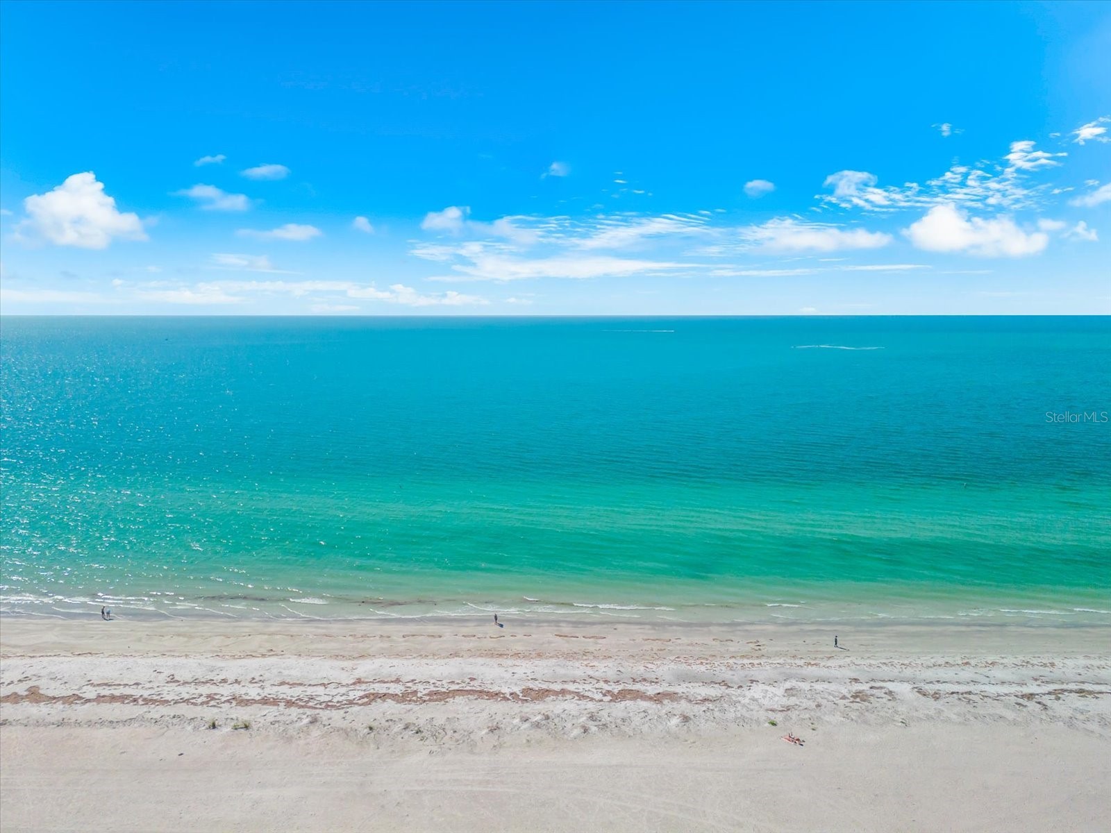 1180 Gulf Boulevard #1504 Clearwater FL 33767 - GULF OF MEXICO TB8480776 image61
