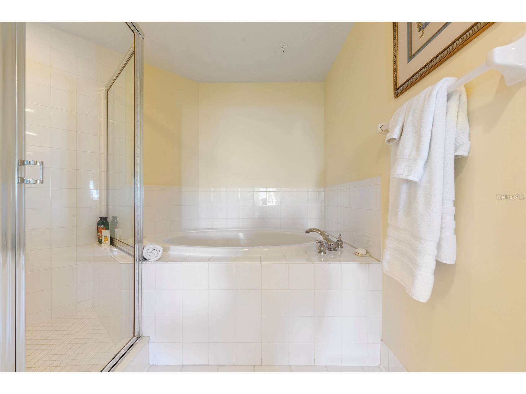 1180 Gulf Boulevard #202 Clearwater Beach FL 33767 TB8471600 image22