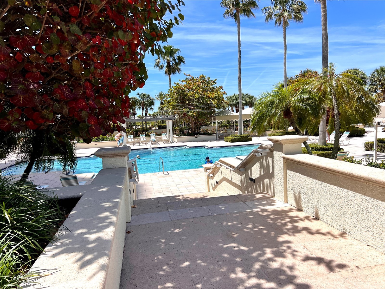 1180 Gulf Boulevard #306 Clearwater FL 33767 - GULF OF MEXICO TB8478819 image84