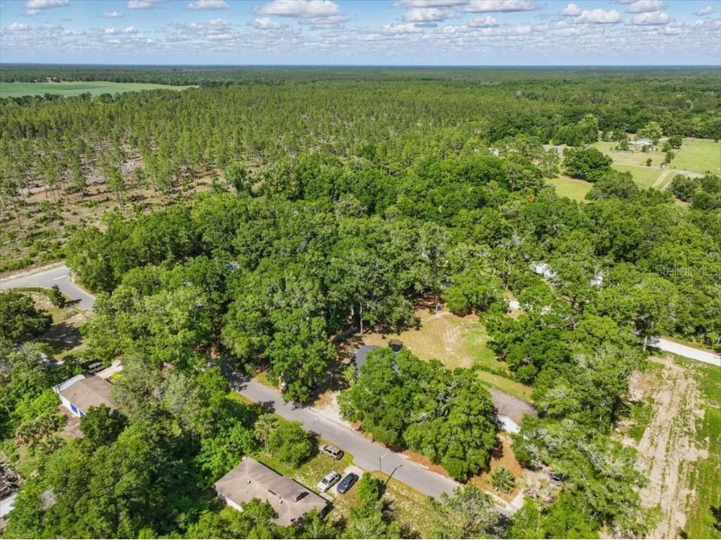 1180 Hough Street Bell FL 32619 GC530808 image31