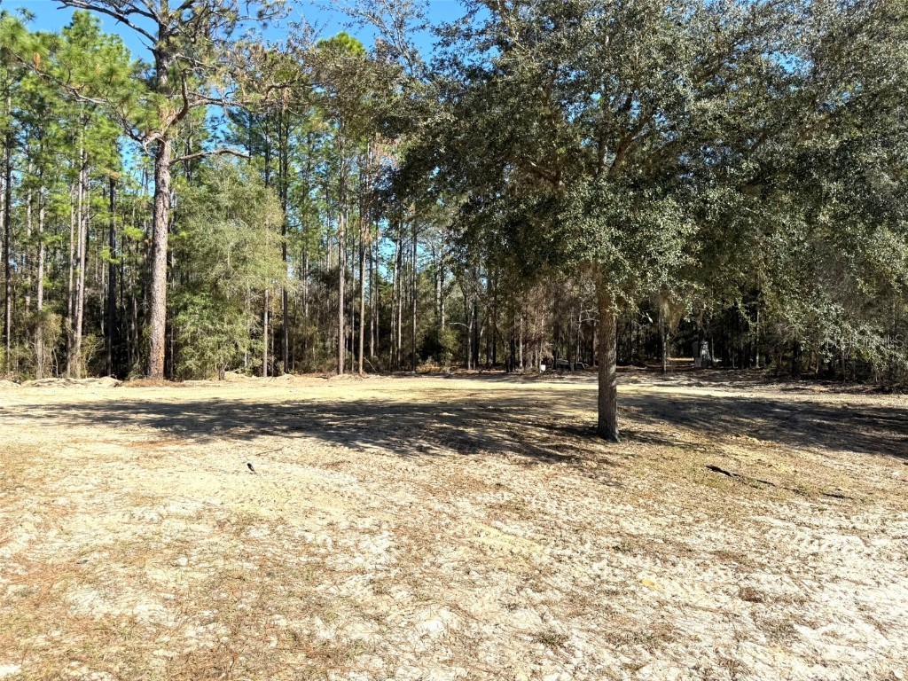 1180 SW 158th Avenue Ocala FL 34481 OM714345 image5