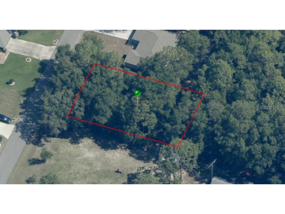 1180 W Bridge Drive Citrus Springs FL 34434 A4663078 image1