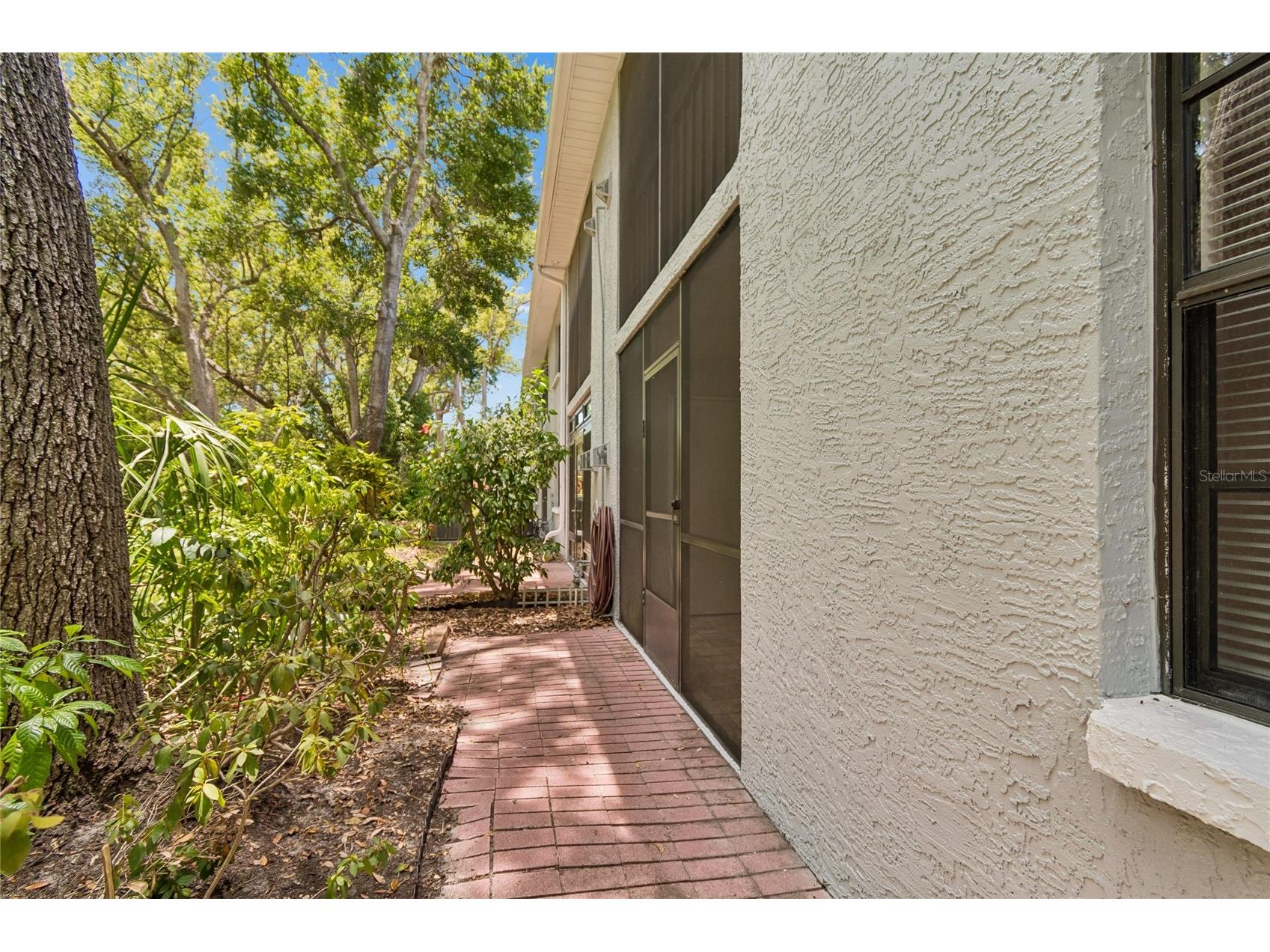 11800 Park Blvd #401 Seminole FL 33772 TB8524093 image35