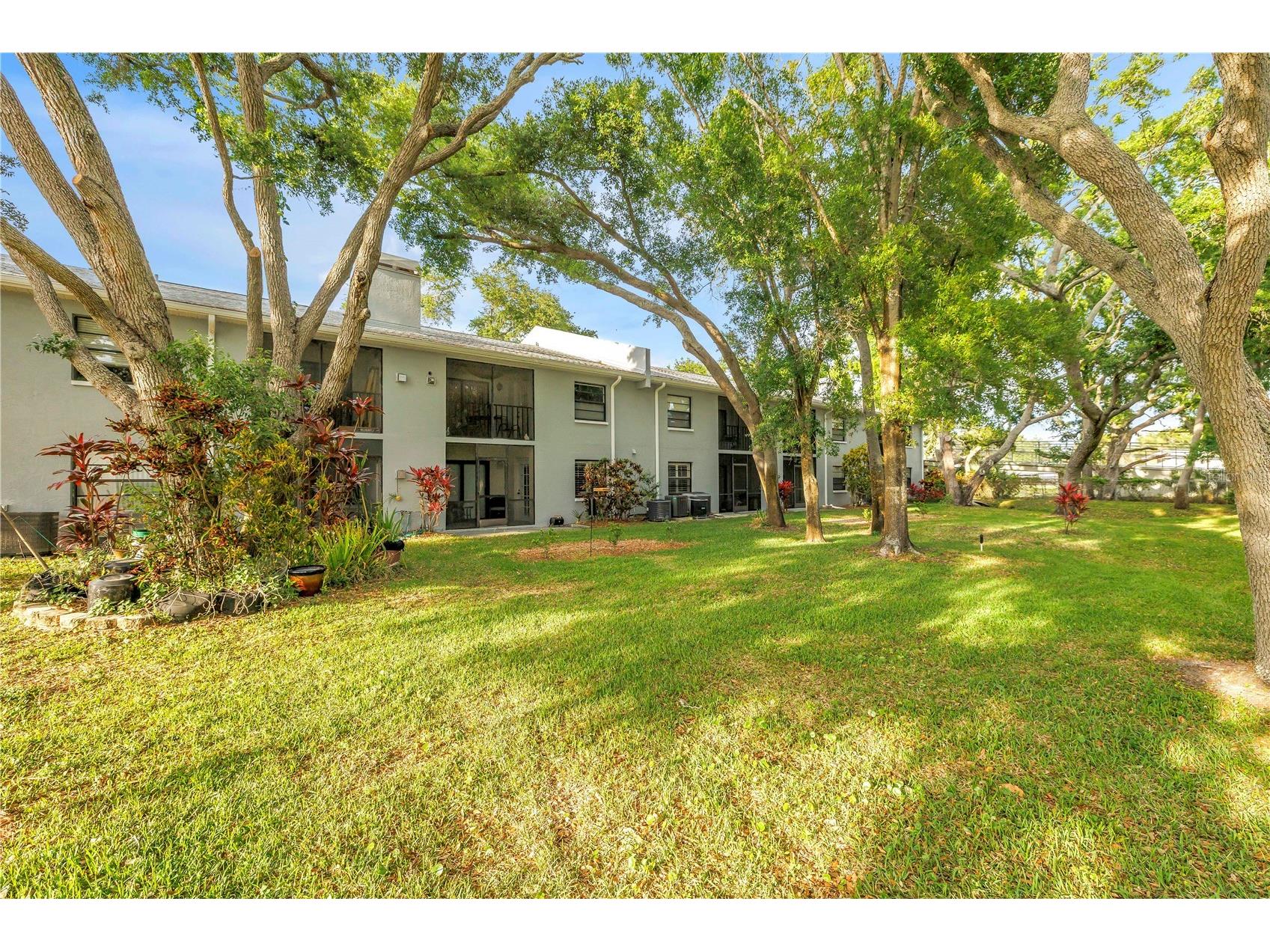 11800 Park Boulevard #104 Seminole FL 33772 TB8494907 image33