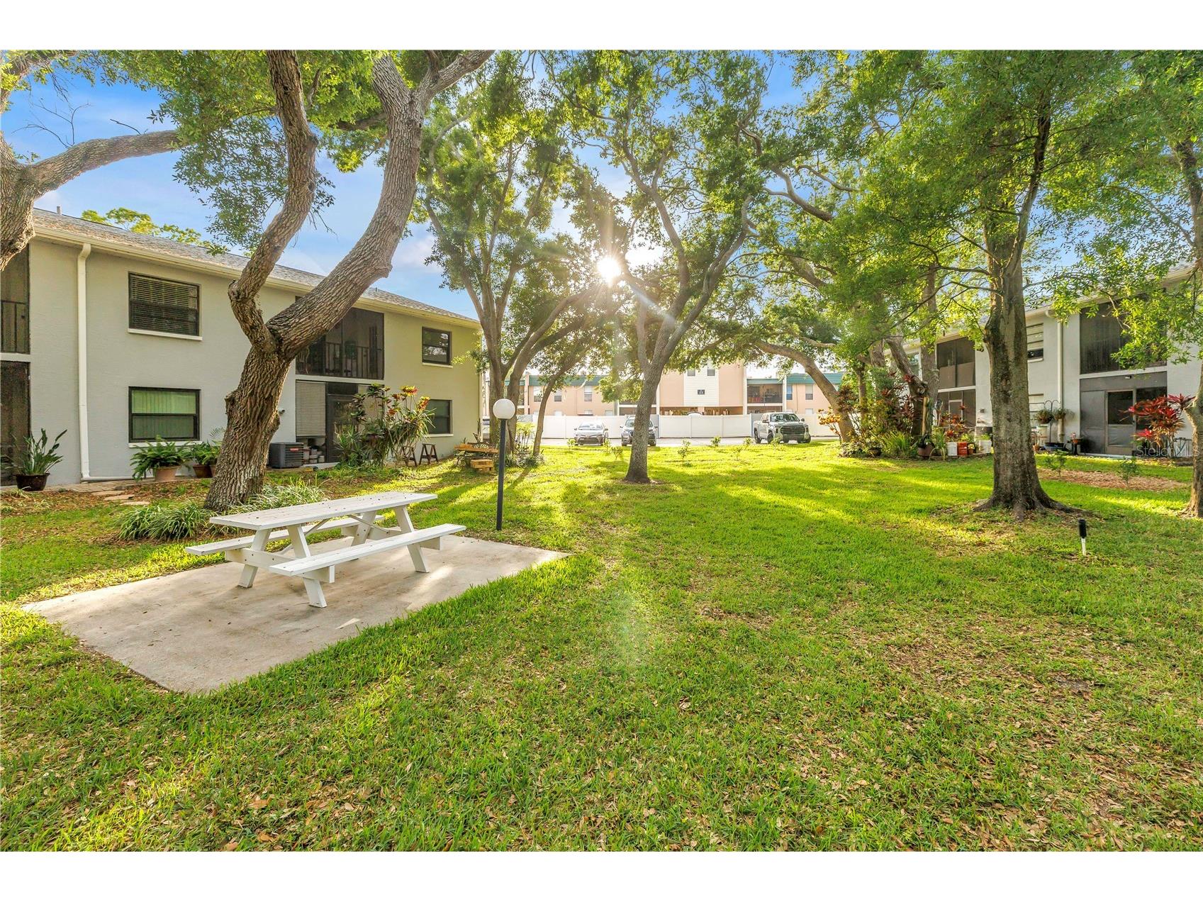 11800 Park Boulevard #104 Seminole FL 33772 TB8494907 image34