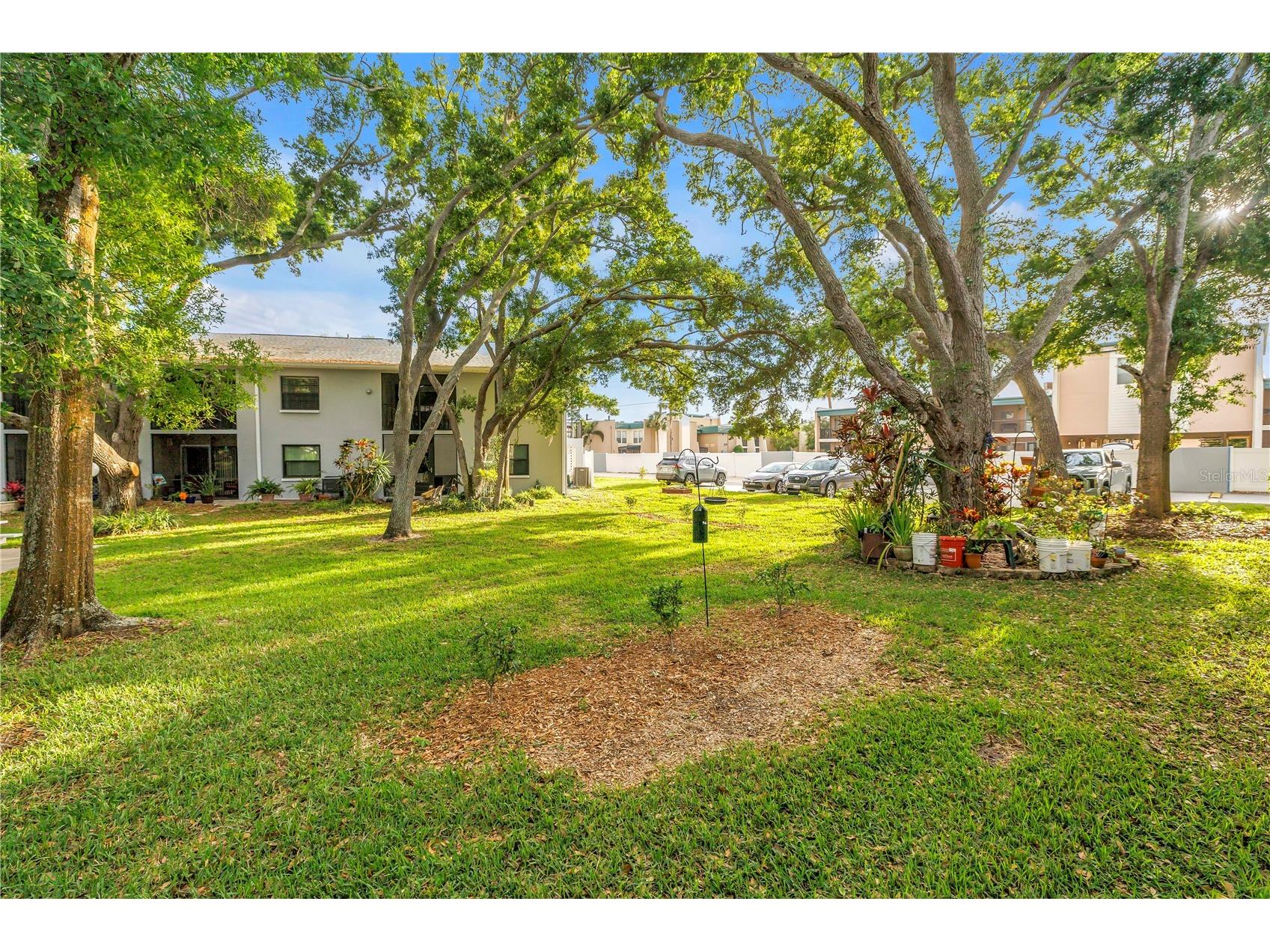 11800 Park Boulevard #104 Seminole FL 33772 TB8494907 image35