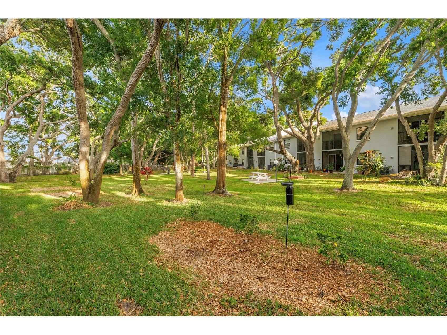 11800 Park Boulevard #104 Seminole FL 33772 TB8494907 image36